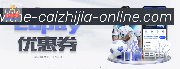 未来规划